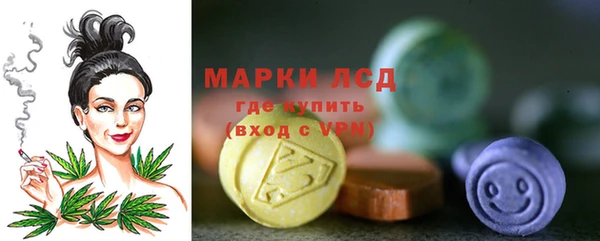 дмт Чегем