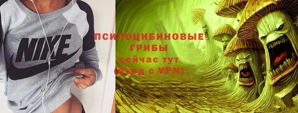 дмт Чегем
