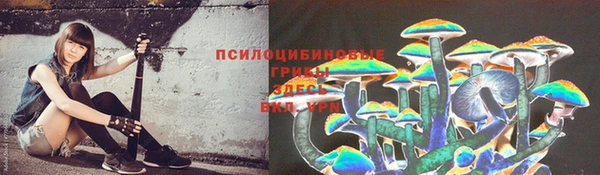 дмт Чегем