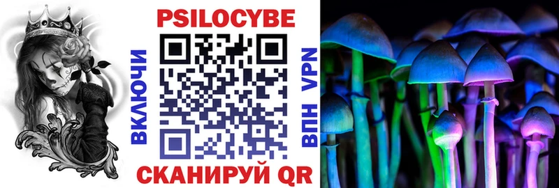 ссылка на мегу маркетплейс  Аркадак  Псилоцибиновые грибы Psilocybine cubensis  магазин продажи наркотиков 